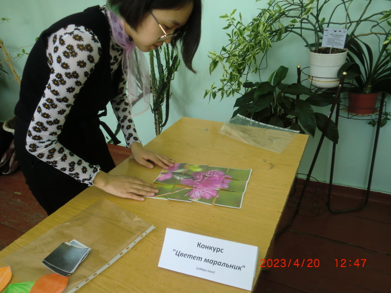 Открытие эколого-ботанической акции «Цветение рододендрона»